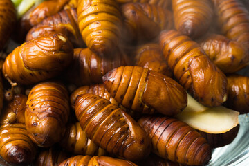 Freshly boiled chrysalis against a dark background