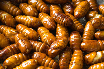 Stir-fried cocoon pupae is a special food in northeast China