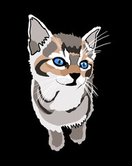 Tabby kitten portrait illustration on a black background