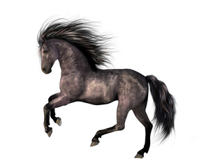 A 3d digital render of a rearing black horse with a transparent background. 