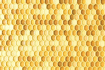 Honey comb texture background. Backgrounds and textures. 3d illustration.