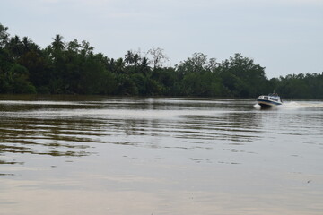 Scenic activities on the way to Derawan Island, Berau City by boat