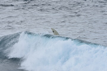 Surfing