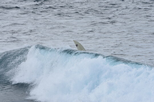 Surfing