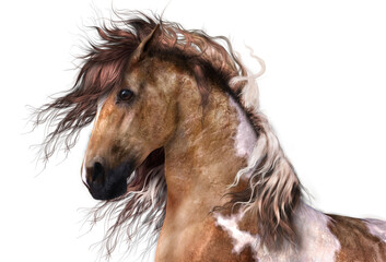 3d digital render of a horse portrait with transparent background. © Elle Arden