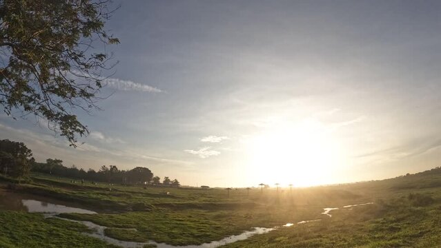 Time-lapse video, sunrise from the east fast-moving clouds over grasslands in Indonesia's Way Kambas Forest National Park