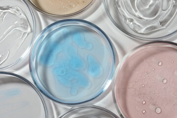 Petri dishes with liquids on white table, flat lay