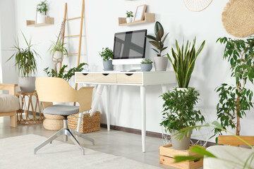 Comfortable workplace with modern computer and different houseplants in room