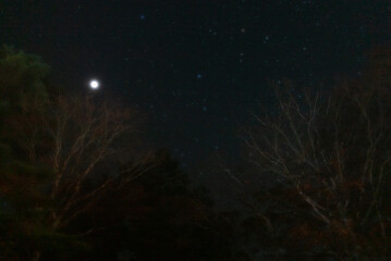 Fototapeta na wymiar Starry sky taken from the parking lot of Odaigahara in Nara, Japan