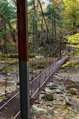 奈良県の大台ケ原・西大台のハイキングコースにあった鉄の吊り橋