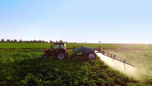 process of spraying with chemicals and pesticides fields with potatoes. Growing potatoes in fields cultivating vegetables. tractor pulls barrel with irrigation system behind it. watering field.