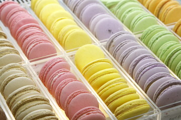 Colorful macarons on display with different flavors