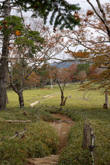 Hiking Trails in Odaigahara, Nara Prefecture