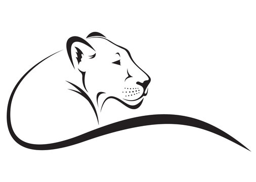 Lion female design isolated on transparent background. Wild Animals.