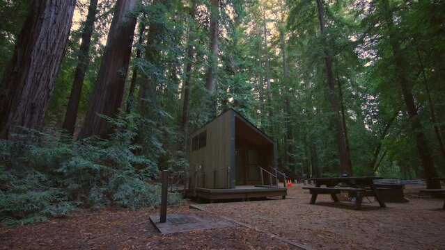 Close-up shot of a tiny cabin in the woods, surrounded with mighty, tall trees. Charming camping area for adventurous holiday trip in deep, mysterious forest. High quality 4k footage