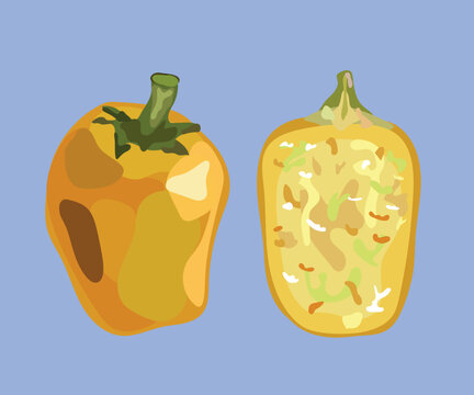 cocona peruvian fruit illustration