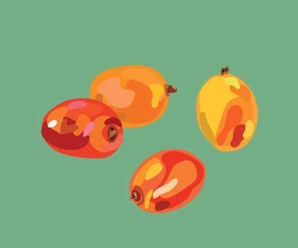 plum peruvian fruit vector illustration
