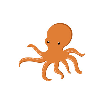 Octopus logo. Isolated octopus on white background. 
