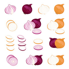 Red Onions and Yellow Onions illustration element