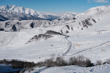 View of the road to from Tsey Loam pass on sunny winter day. Ingushetia, Caucasus, Russia.
