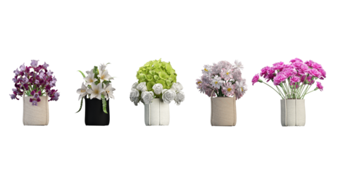 lavender flowers isolated on white