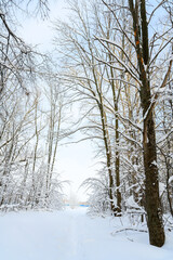 Hiking trail in a snow-covered, beautiful winter landscape.