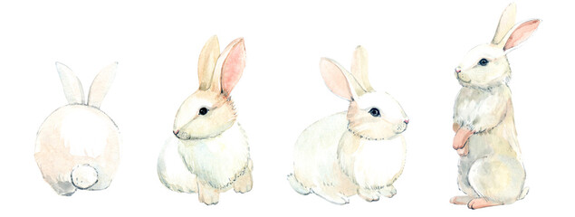 The white rabbit. Clipart. A white rabbit painted in watercolor. For stickers, scrapbooking, postcards, etc.