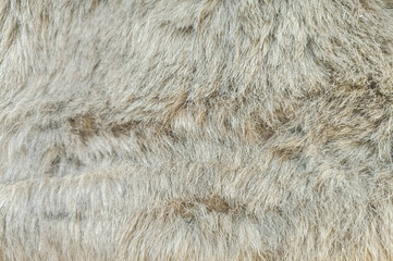 Cream brown wool texture, beautiful pattern, abstract fur background.