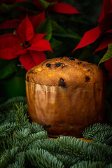 Christmas cake among green fir branches on the festive table, Poinsettia flower, Merry Christmas and Happy New Year