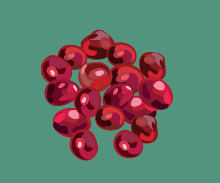 peruvian coffee illustration
