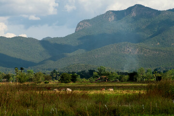 The beautiful sunrise view of the limestone mountains Northern province of Thailand.