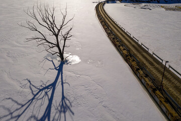 Aerial view of a tree sticking out of frozen Zaramag reservoir and pontoon bridge on sunny winter day. North Ossetia, Caucasus, Russia.