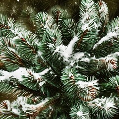 Naklejka na ściany i meble Christmas tree pine branch and snowfall on sky background. vintage color tone and rustic.png