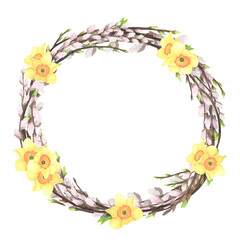 Spring pussy willow twigs wreath watercolor, flower daffodil isolated on white Hand drawing Easter illustration design