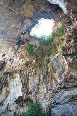 まるでジュラシックパークの様な世界チャロム ラッタナコシン国立公園　タイ・カンチャナブリー