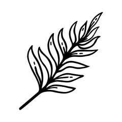Fern branch vector icon. Simple black doodle of a twig with leaves. Hand drawn illustration isolated on white. A wild forest plant, herb. Clipart for cards, posters, cosmetics, logo, web, print