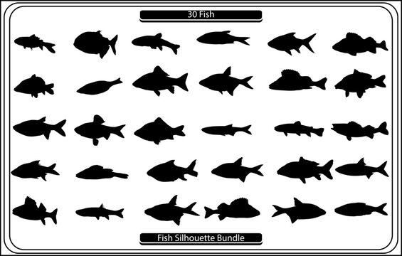 Set of fishes silhouettes,Fish vector Icon. Sea Food illustration symbol. Farm Element logo