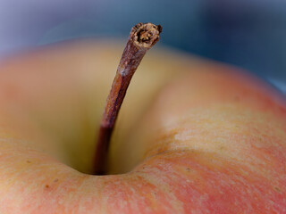 Macro photo of a fresh apple with a blurry background