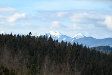Wonderful views of the Carpathian Mountains covered with snow and a clear blue sky in Ukraine.