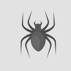 Black spider. Insect. Cartoon style illustration
