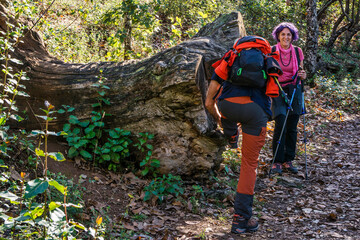 Couple Hiking In The Forest. Outdoor Activities. Contact with Nature