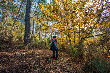 Fototapeta premium Rear View Of A Senior Woman Contemplating The Beauty Of Nature At Sunset. Active Woman Doing A Route On A Trail. Outdoor Activities