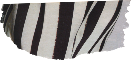 black and white striped   scrap of journal paper	