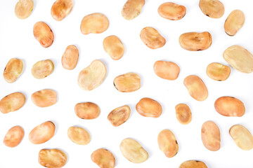 Fototapeta na wymiar Fava bean background pattern isolated over white