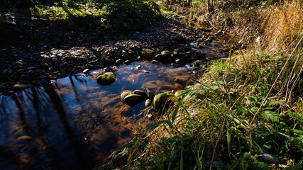 A small and clean stream of water in nature.