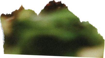 green textured scrap of journal paper