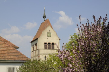Klosterkirche in Reichenau-Mittelzell