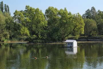 Fototapeta na wymiar White wooden floating duck house in the centre of the pond in public park. Bird sanctuary in artificial lake. Spring nest. Summer green view. Wildlife nature reserve in river water. Waterfowl shelter
