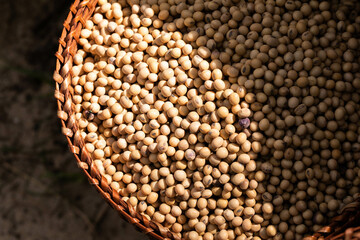 Close up soybeans background top view.