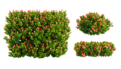 Cut out green fence plants nature gardening backgrounds 3d rendering